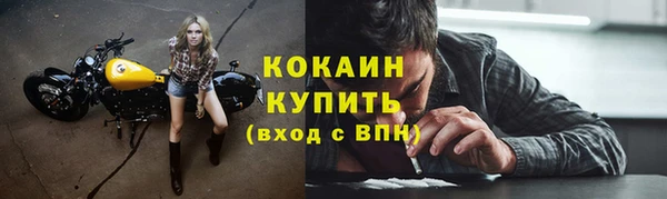 тгк Арсеньев