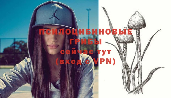 MESCALINE Аркадак