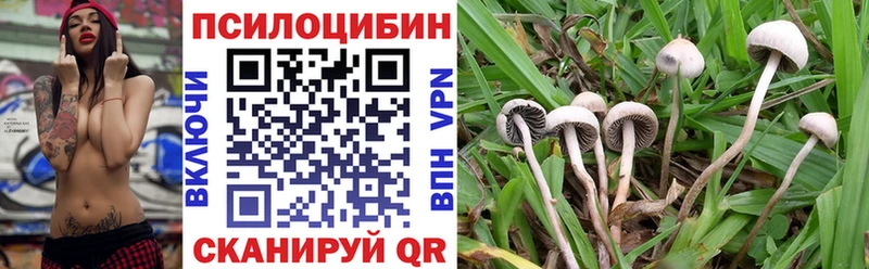 наркошоп  Мценск  Галлюциногенные грибы Psilocybe 